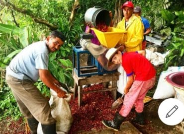 Cafe lluvias de gloria