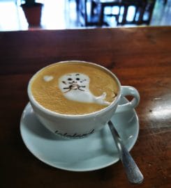 Lalaland Coffee Jazz
