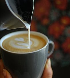 Cabra Negra