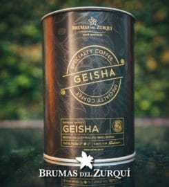 Brumas del Zurqui