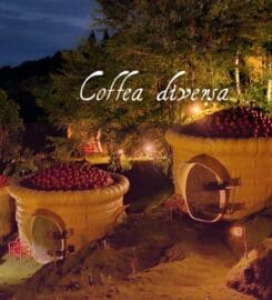 Coffea Diversa